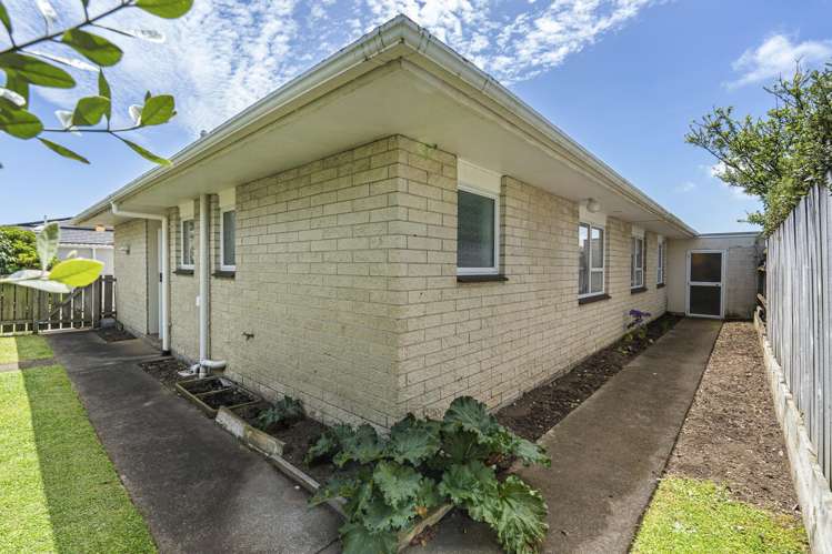 159B Saint Aubyn Street New Plymouth_20