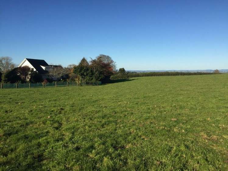 311 Opunake Road Cardiff_38