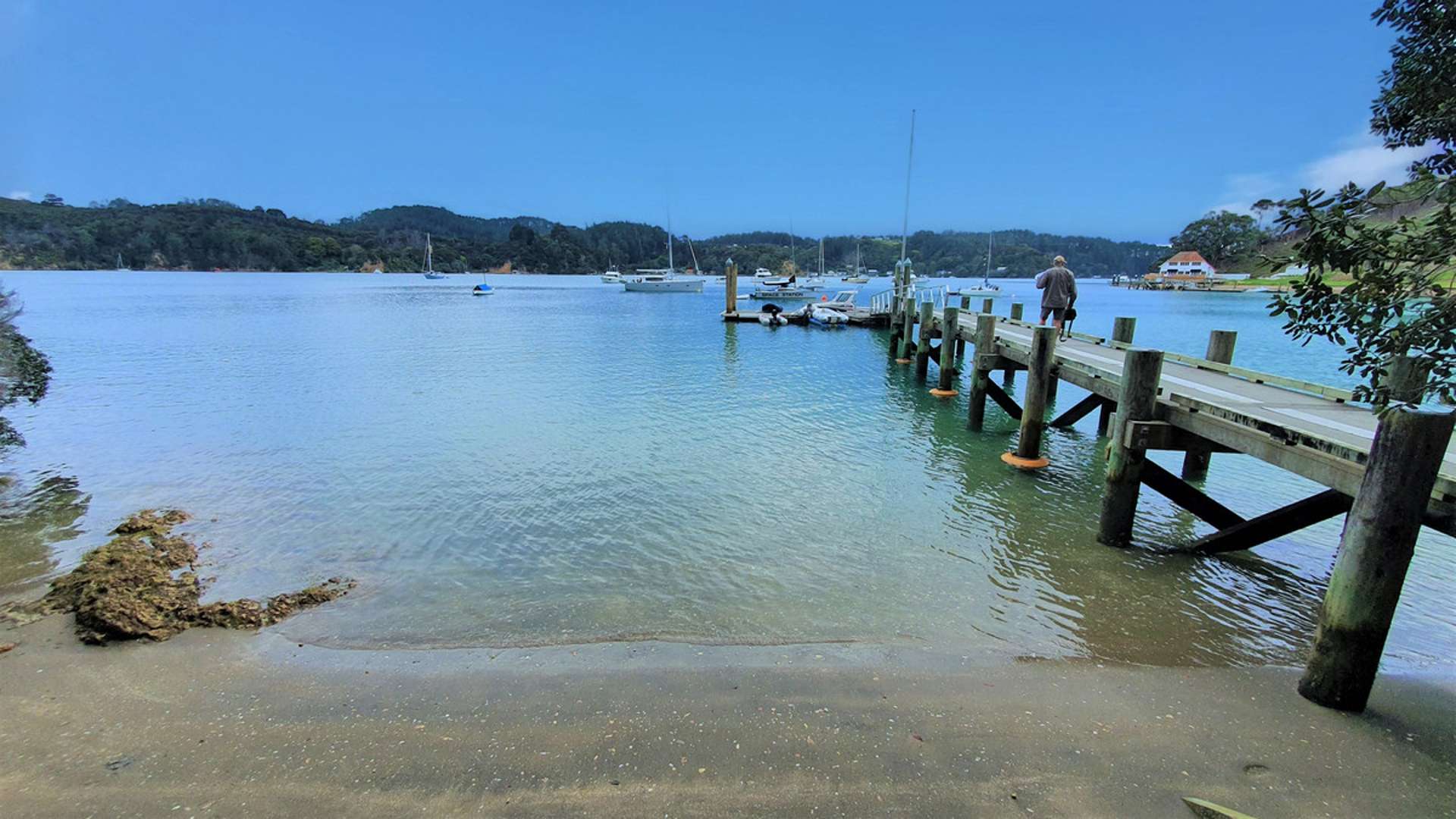 Hideaway Cove Kawau Island_0