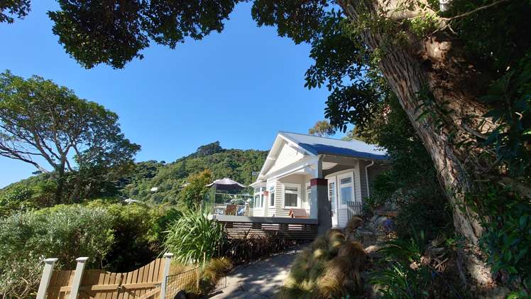 111 Muritai Road Eastbourne_24
