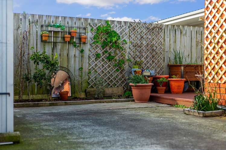42B Park Road Miramar_22