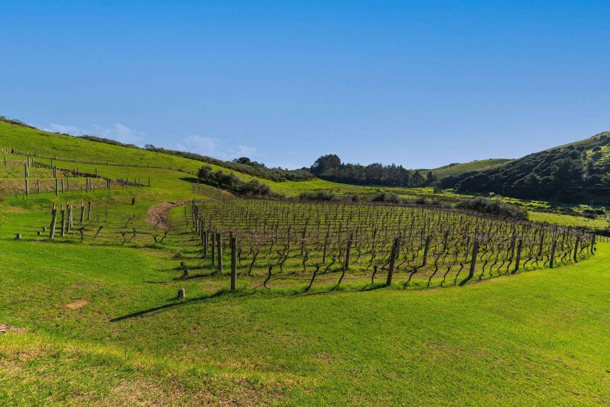 Lot 1, 4, and 9 Mahinepua Road_1