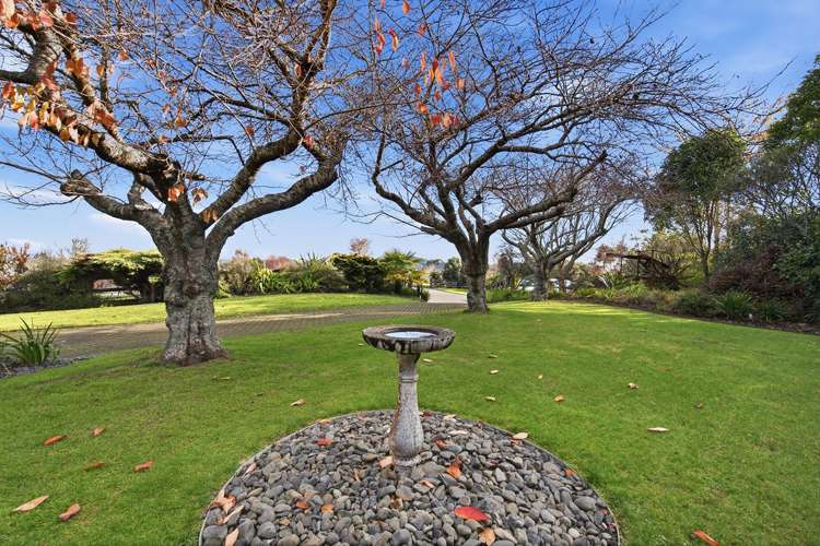 9 Coburg Place Tikitere_33
