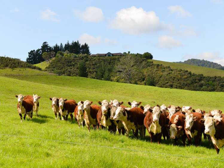 58 Kempthorne Road Russell_15