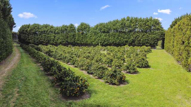 908 Te Ahu Ahu Road Waimate North_4