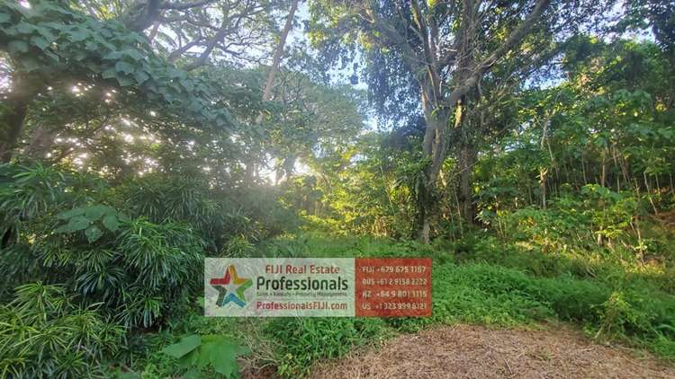 Address withheld Savusavu_31