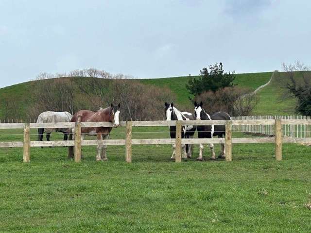 Lifestyle with Infrastructure