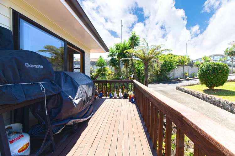 43 Tiverton Road Avondale_14