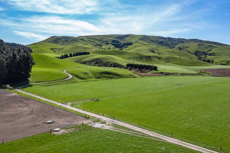 558 Leader Road West Waiau_16