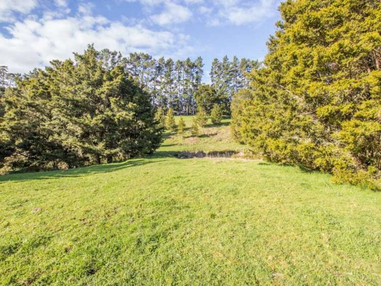 304 Mangakahia Road Maungatapere_20