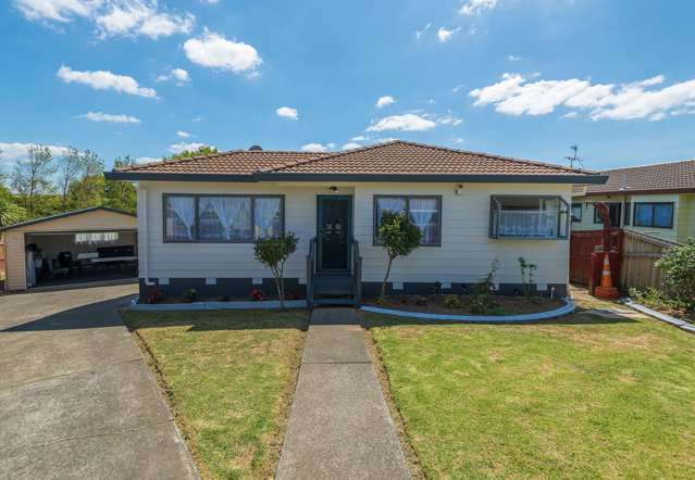 46 Belinda Avenue Flat Bush_1