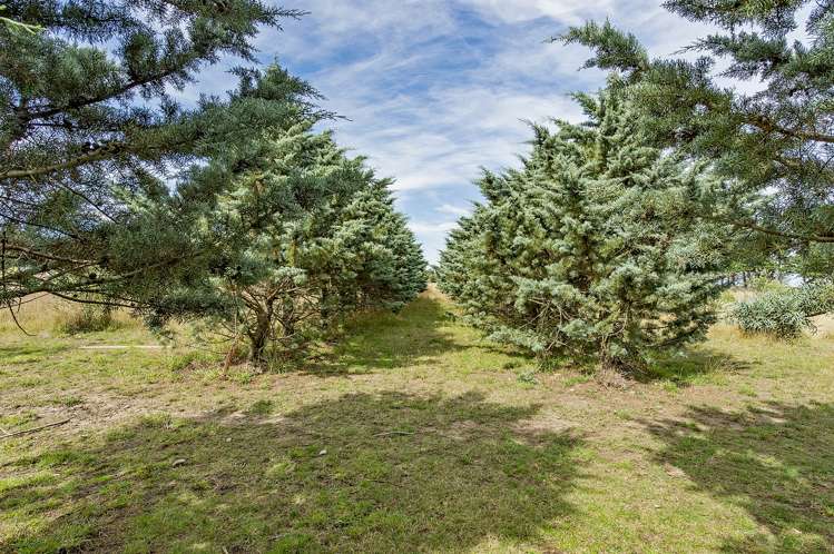 2181e South Eyre Road West Eyreton_11