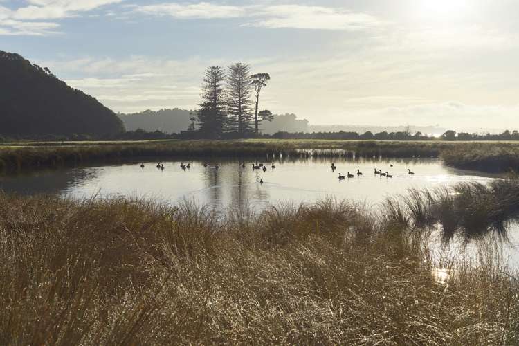 102 Ahumoana Road Hibiscus Coast Surrounds_14