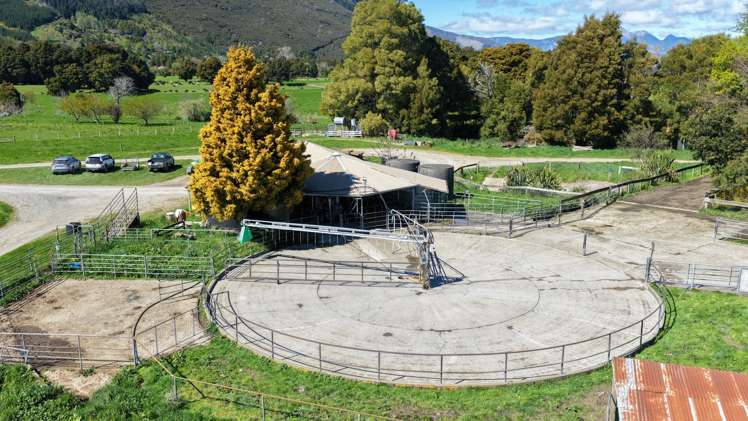 574 East Takaka Road East Takaka_16
