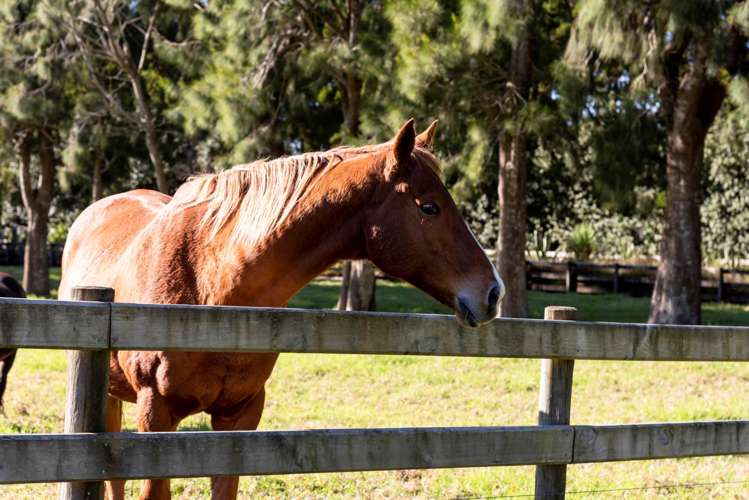 110 Woodhill Park Road Waimauku_28