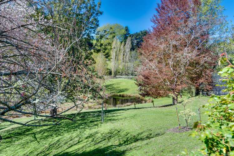 213 Ellis Wallace Road Eskdale_23