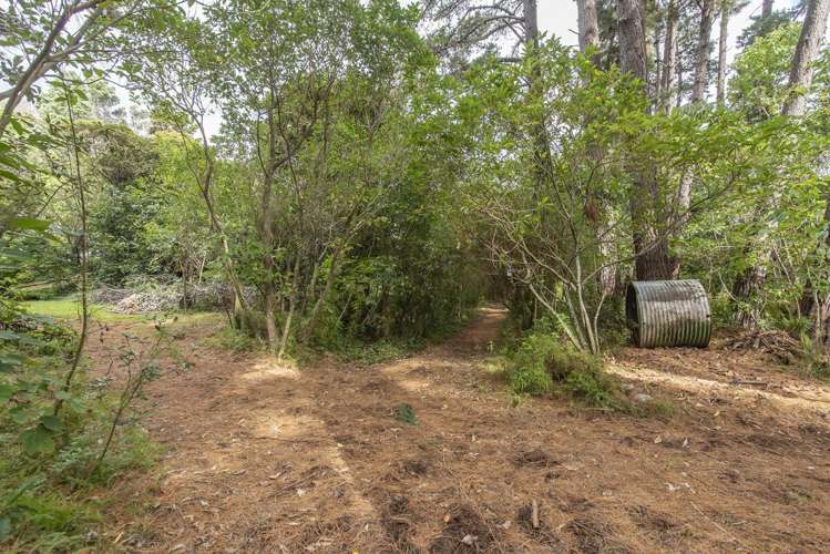 63-69 Leinster Avenue Raumati South_12