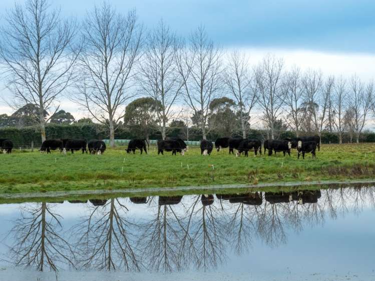 217 Pleasant Point Highway Levels_23