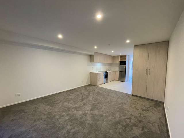  75 Ferry Road Christchurch Central_2