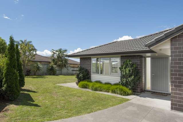 17 Hoggard Place Katikati_4