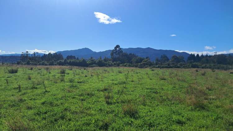 7868 Lower Buller Gorge Road Westport_11