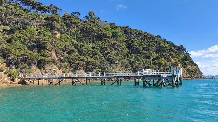 Lot 172 North Cove Kawau Island_24