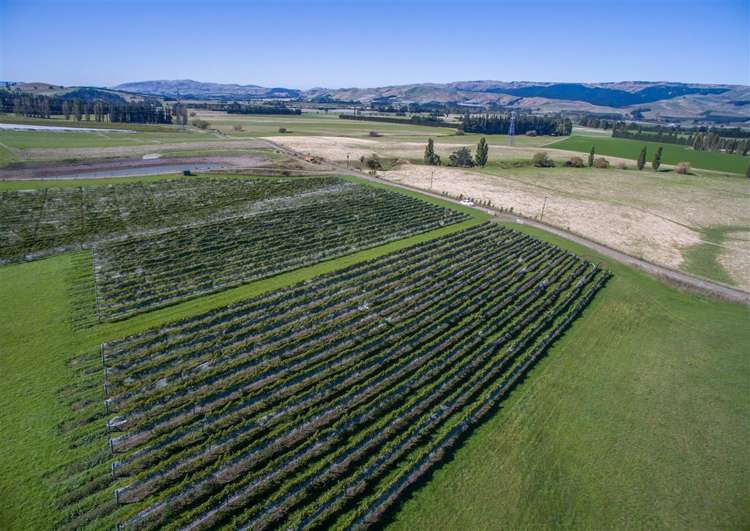 337 Mackenzies Road Waipara_8