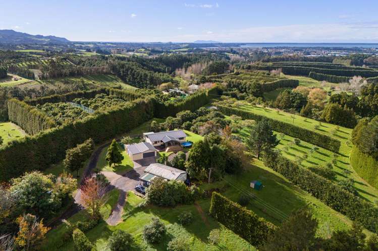 270 Wharawhara Road Katikati_23