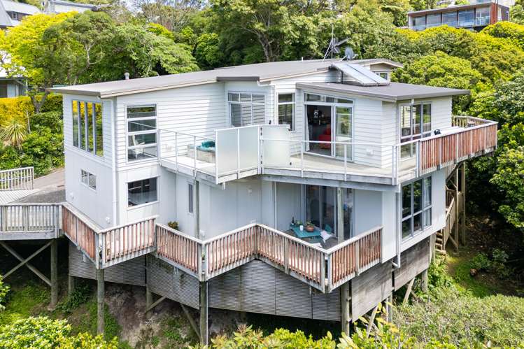 77A Nicholson Road_3