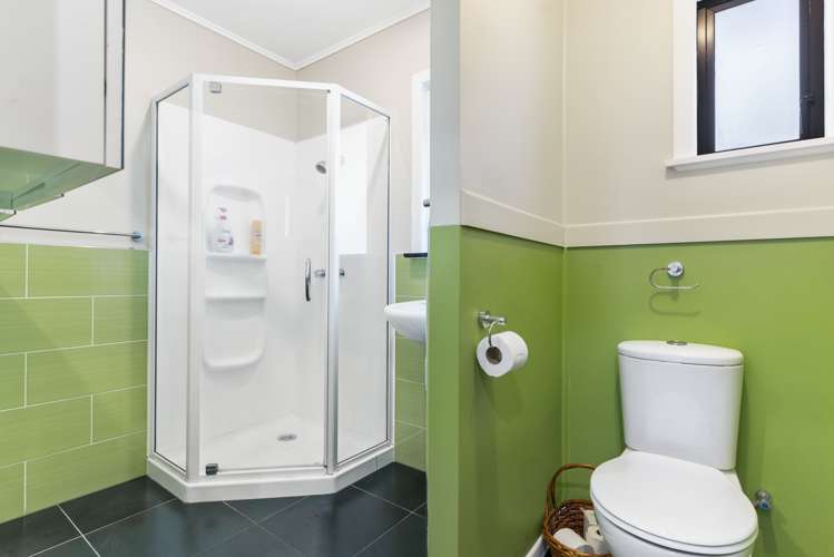 29 Taupo Street Green Bay_19