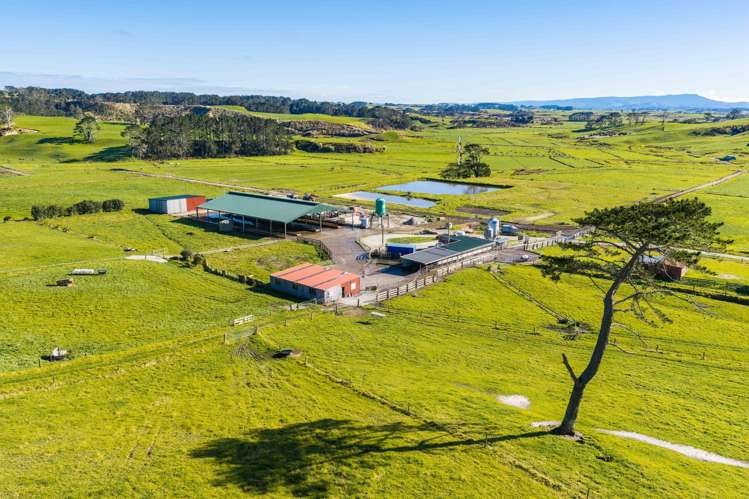 454 West Coast Road Te Kopuru_18