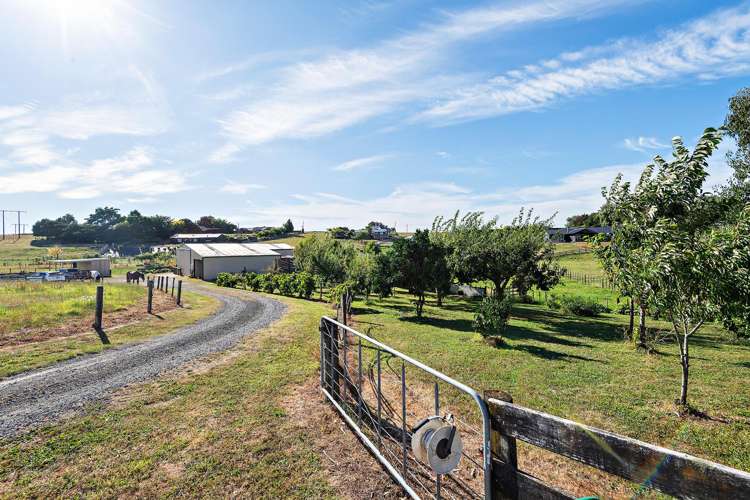 48 Moxham Road Te Awamutu_1