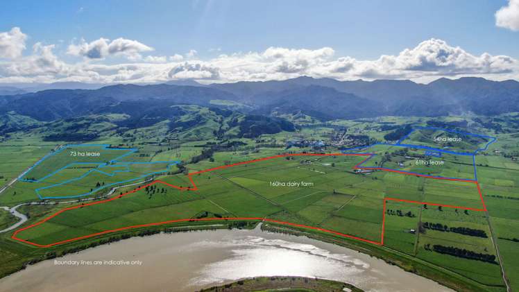 81 Station Road Puriri_0