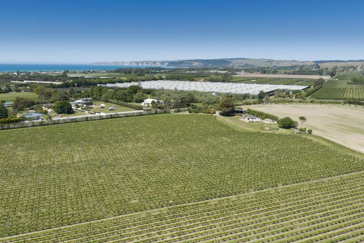 18 Tuki Tuki Road Haumoana_19