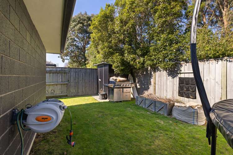 29 Monarch Drive Ashhurst_29
