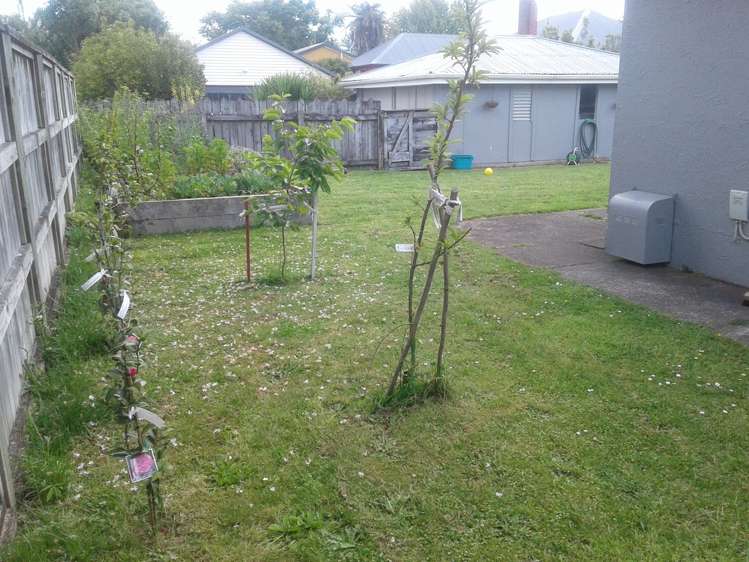 91 Cook Street Hamilton East_7