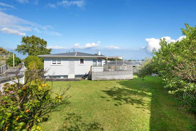 93 Haverstock Road Sandringham_6