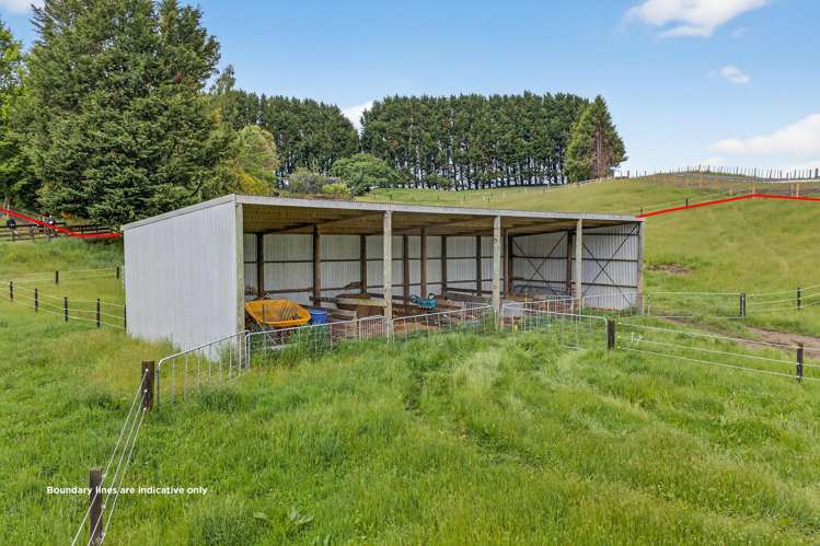 Lot 1,1069 Poihipi Road_5
