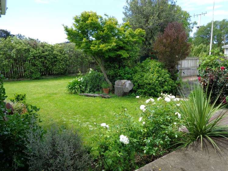 61/4c Osborne Road Amberley_18