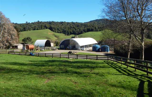 969 Piakonui Road Richmond Downs_3