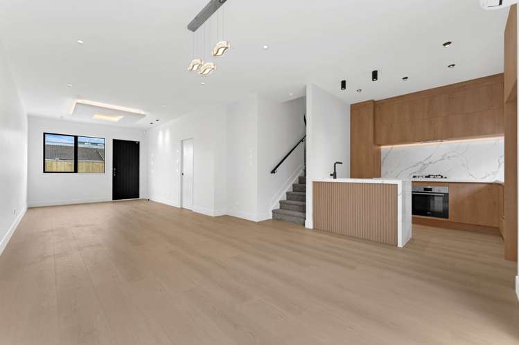 Wintere Road Papatoetoe_2