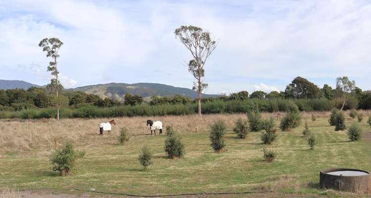31 Riveredge Terrace Ohau_38
