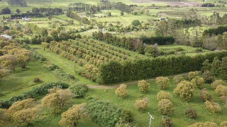 405 Tara Road Mangawhai_16