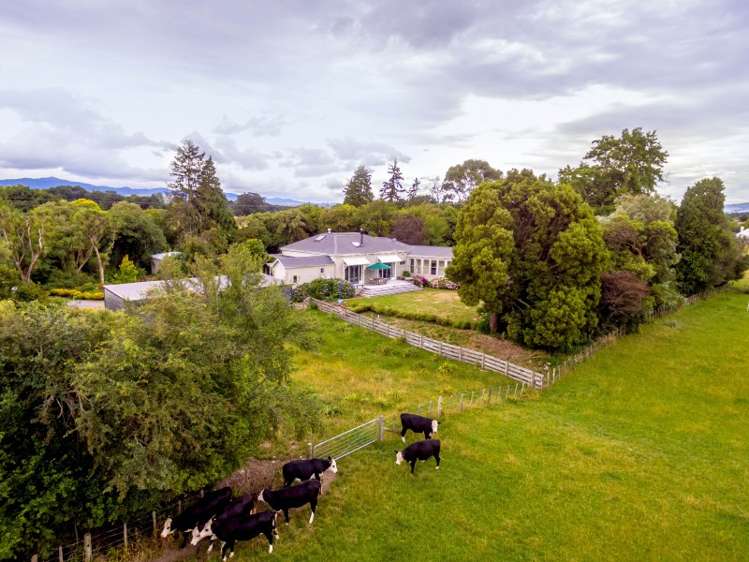 141 Upper Plain Road Masterton_23