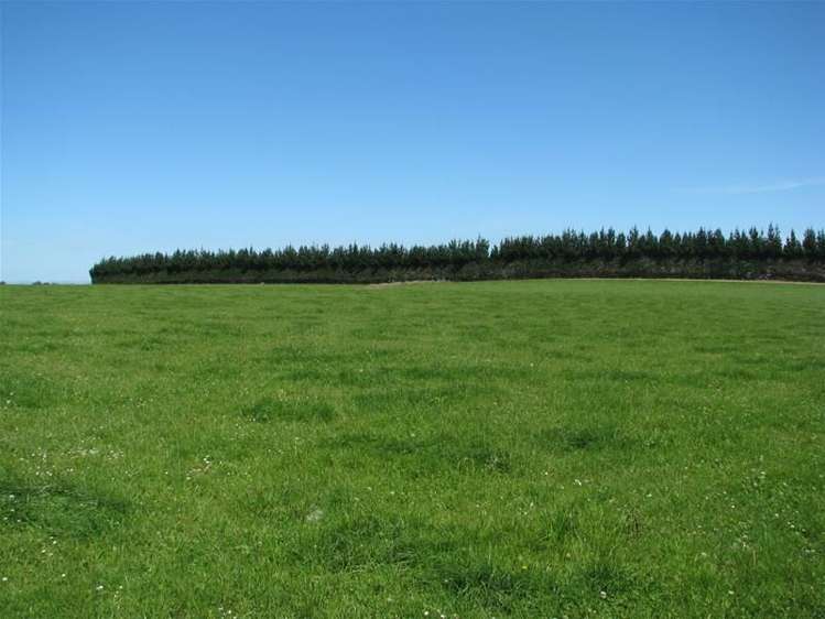 1220 Glenkenich Road Gore Surrounds_16