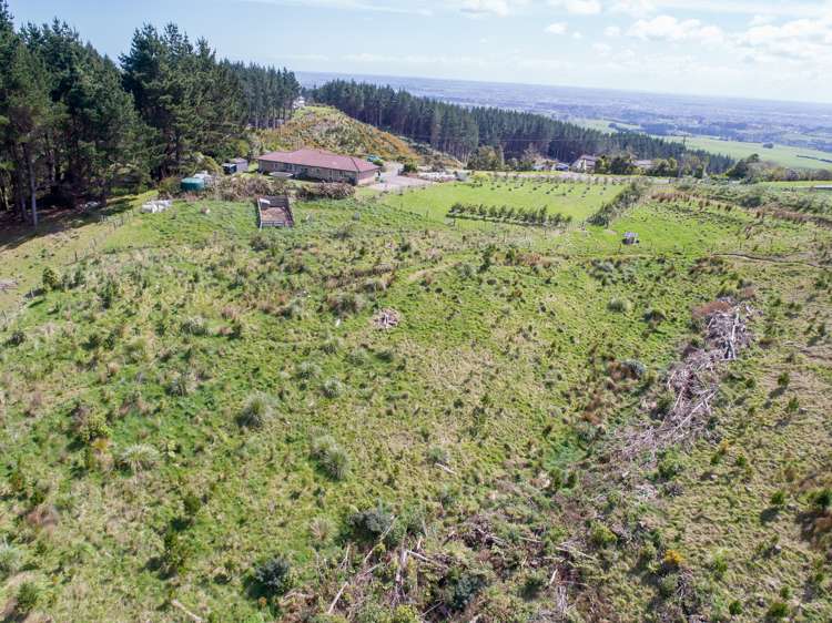 265 Ngahere Park Road Turitea_5