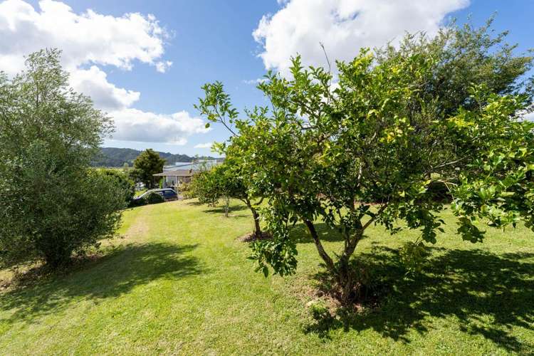 15 Church Street Kawakawa_20
