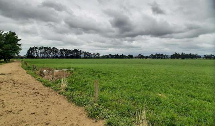 1040 Roberts Line Bunnythorpe_2