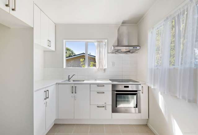 2a Pine Street New Lynn_2