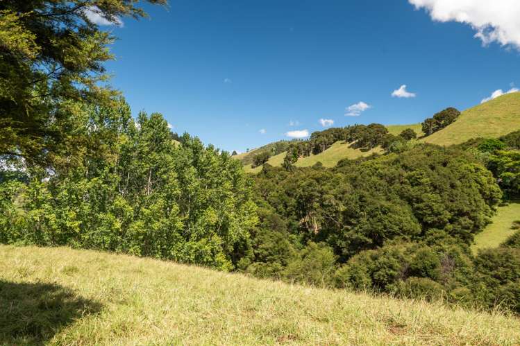 49 Mangotahi Road Thames_24